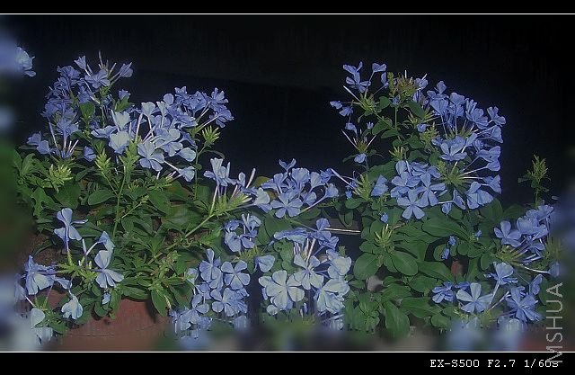 CIMG0408.JPG