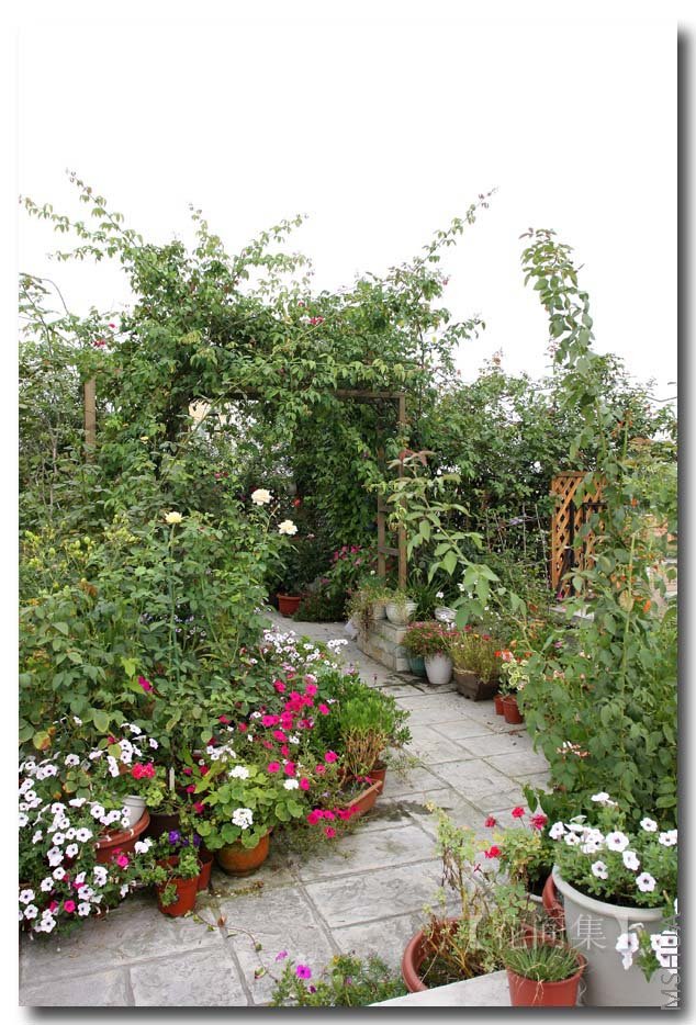 IMG_3907 ����.jpg