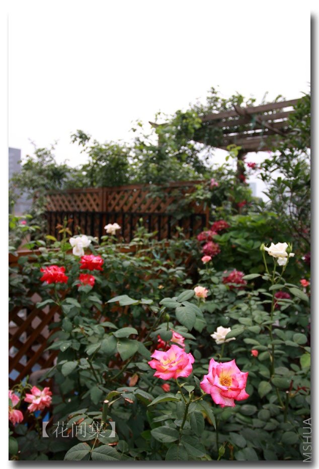 IMG_6689 ����.jpg