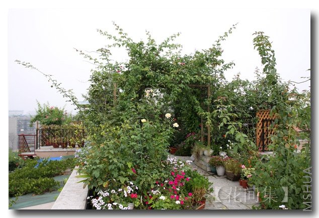 IMG_3908 ����.jpg