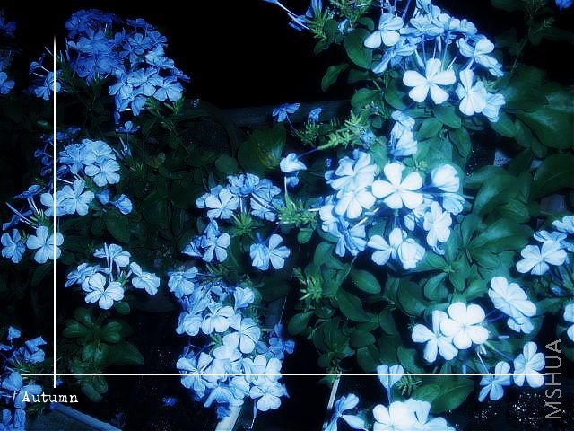 CIMG0296.JPG