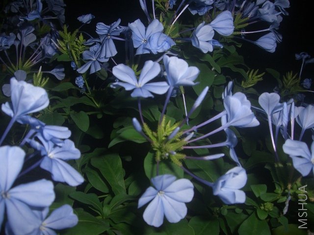CIMG0422.JPG