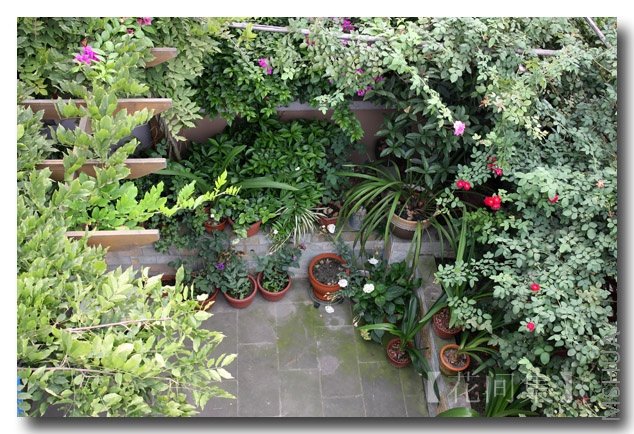 IMG_3913 ����.jpg