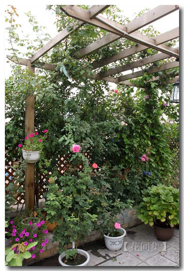 IMG_3902 ����.jpg