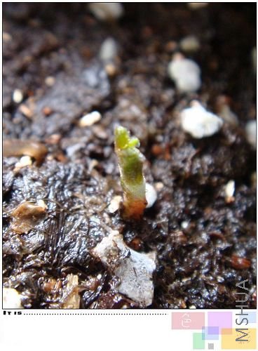 �����Ƕ�