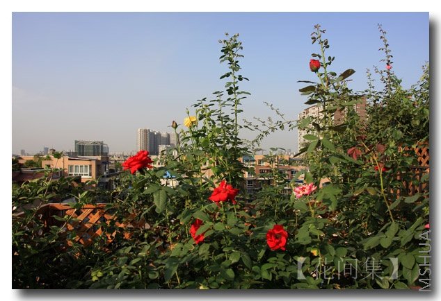 IMG_5678 ����.jpg