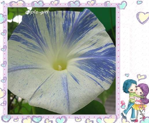 ��Ƭ20080823 021.jpg