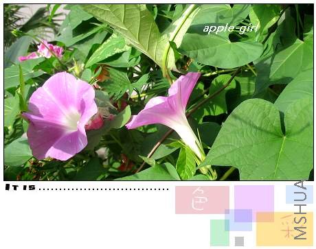 ��Ƭ20080823 010.jpg