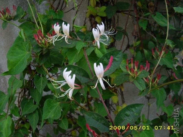 IMG_0013.JPG