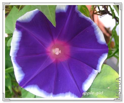 ��Ƭ20080823 029.jpg