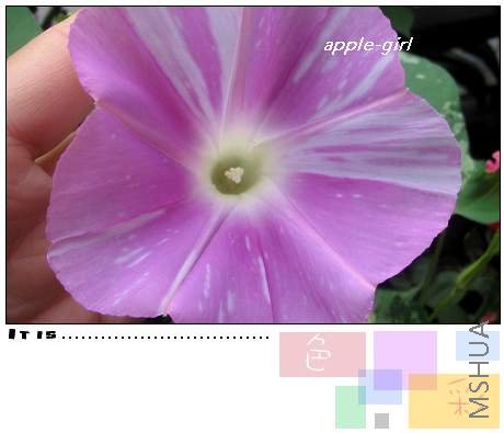 ��Ƭ20080823 027.jpg