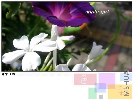 ��Ƭ20080823 014.jpg