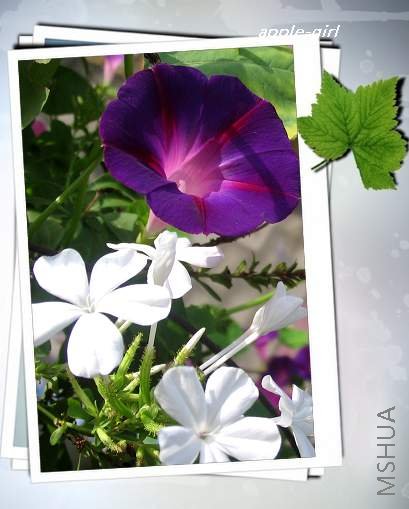 ��Ƭ20080823 015.jpg