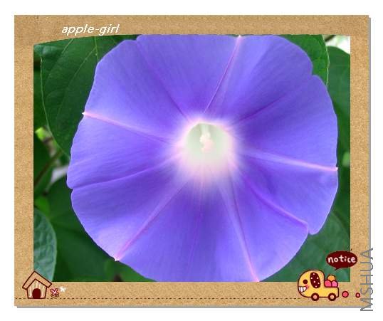 ��Ƭ20080823 024.jpg