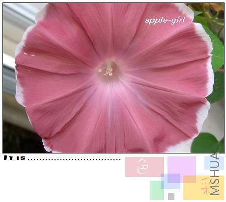 ��Ƭ20080823 022.jpg