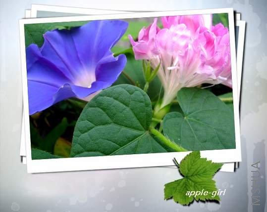 ��Ƭ20080823 025.jpg