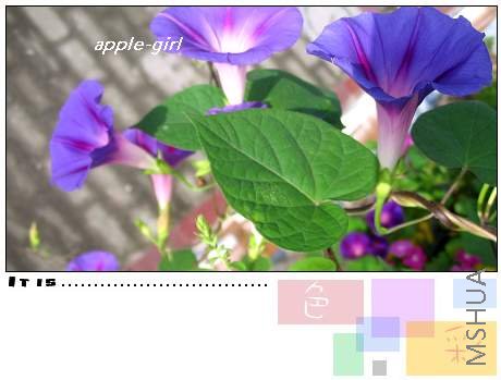 ��Ƭ20080823 012.jpg