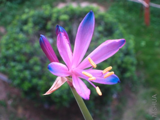 200808 043.jpg