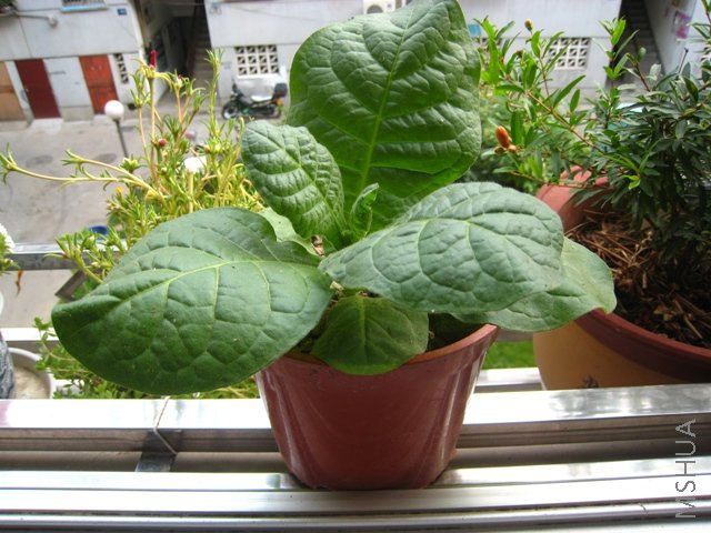 200808 059.jpg