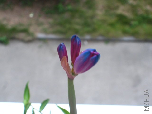 200808 039.jpg