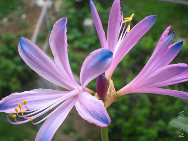 200808 048.jpg