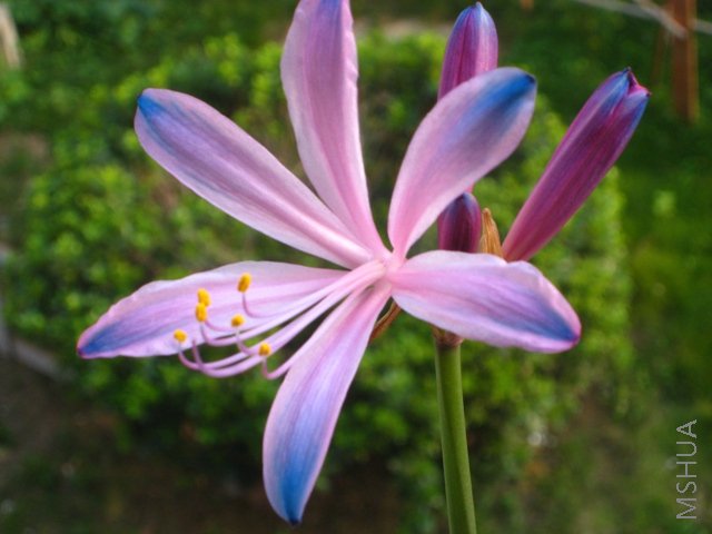 200808 046.jpg