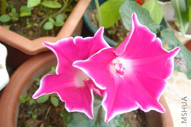 ��Ƭa 030 (С).jpg