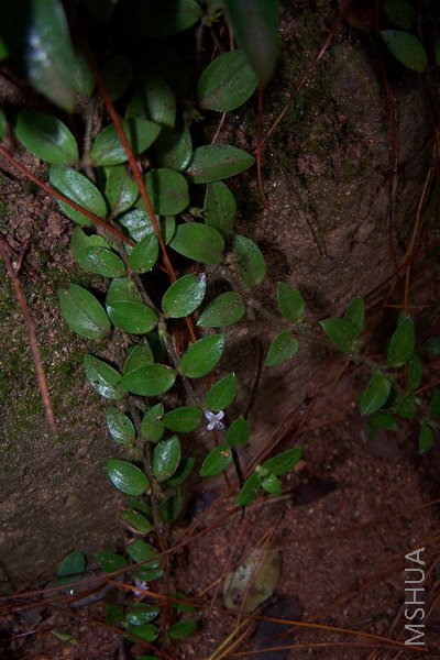 080824 259.jpg