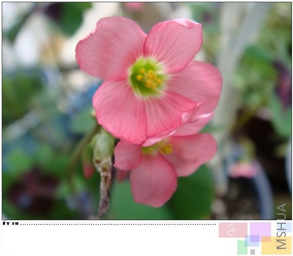 ż���ú����������İ��ĵ�