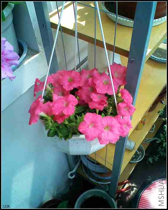 ���˺ܶഹţ�����һ�迪����ģ��������ͷ