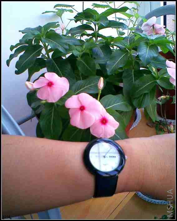 ����ܴ󣬺Ͱ����ֱ�һ����