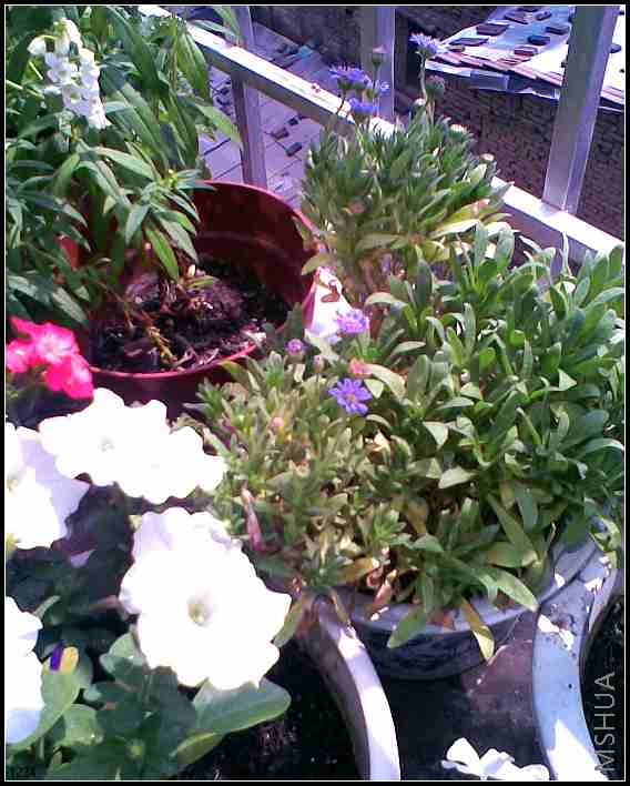 ������ĺ�С���Ͱ�ţ�Ⱥ�С��С