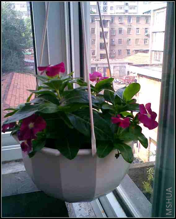 �����Ĵ�������Խ��Խ��