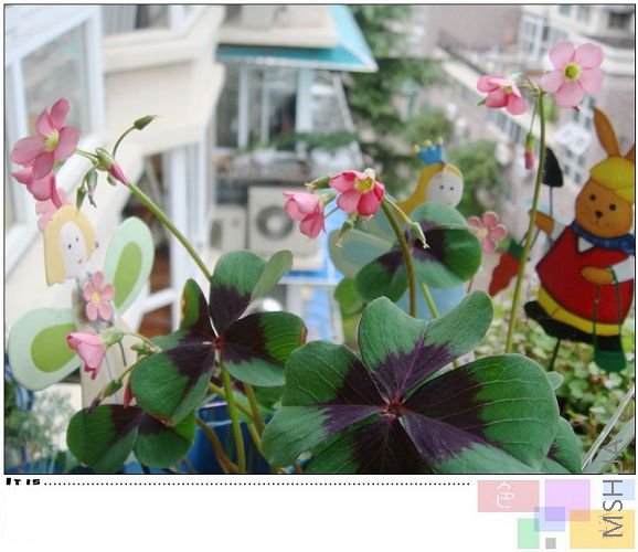 ��������ͼ