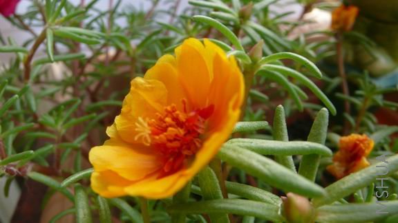 ������С ��Ƭ 037.jpg