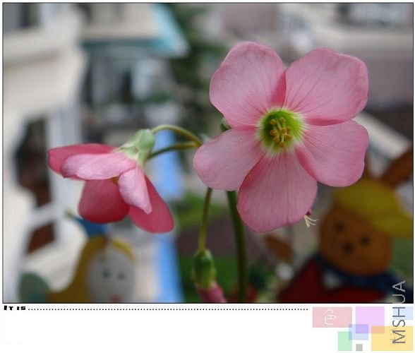 ��ֵ��ǻ�Խ��Խ��������