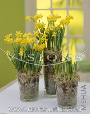 Tete a Tete4.jpg