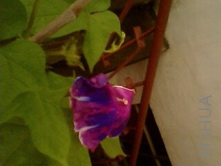 IMG0028A.jpg