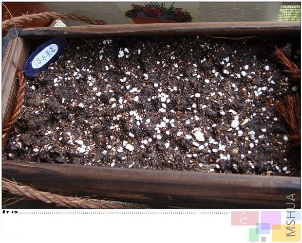 ܽ�������з�ɫ�Ͱ�ɫ�ģ�����һ�����ˣ��������ʵ�ǵ��裬û�ط�����ֻ�õ���ͨ�����ˣ�P