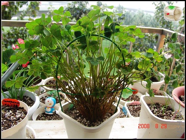 ����Ҳ����...