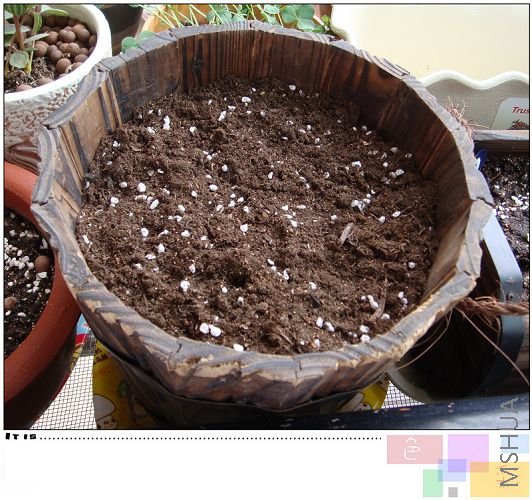 ���ľ�軹û���������ʲô�����������������������ģ���Ҫ�ȵ�11�£��˷ѣ����Һ���Ҳ̫���˵㡣��Ҫ���� ...