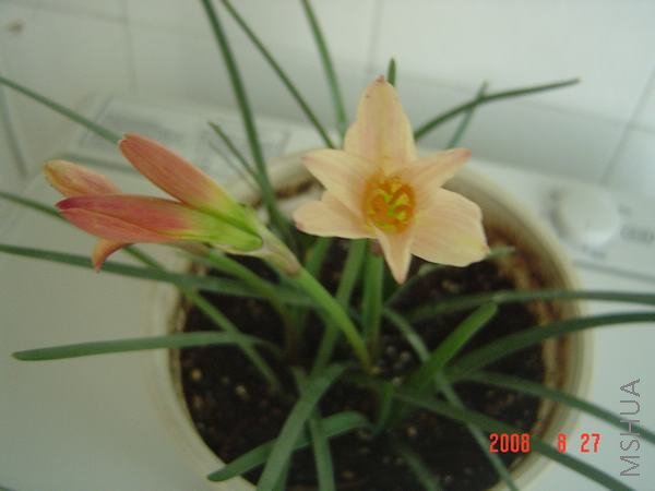 DSC02866.JPG