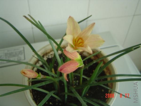 DSC02869.JPG