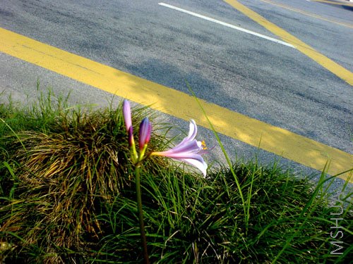 ��Ƭ 085.jpg