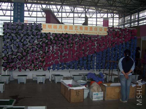 100_3957.JPG