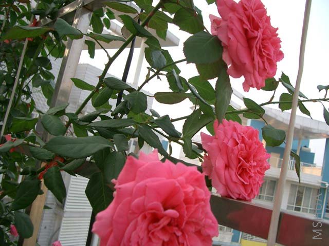 ����2��ʱ����������