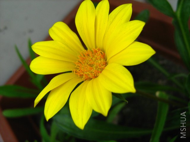 ���� 1700.jpg