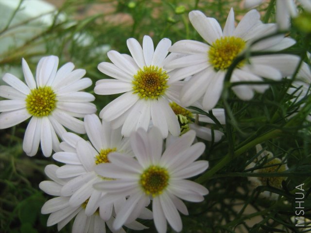 ���� 1707.jpg