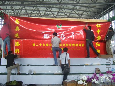 100_3971.JPG