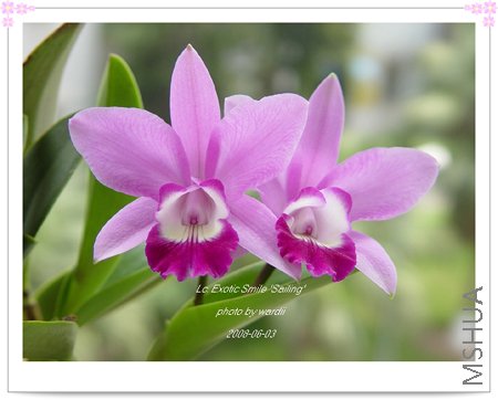 1 009-1.jpg